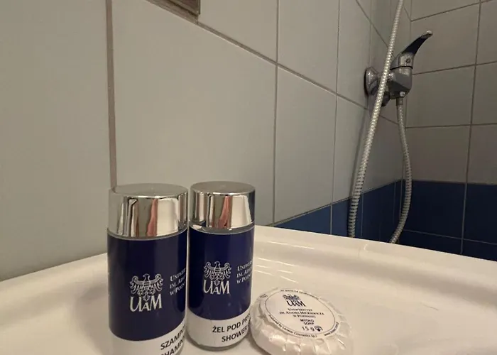 Dom Akademicki Przy Ulicy Nieszawskiej 3* Poznaň